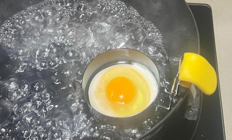 halteoly Egg Poacher-,poached egg maker poached egg cooker eggs poachers,Egg Poachers Nonstick best rated,2 Pack with Brush - Image 5